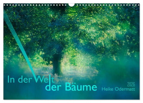 In der Welt der Bäume (Wandkalender 2026 DIN A3 quer), CALVENDO Monatskalender