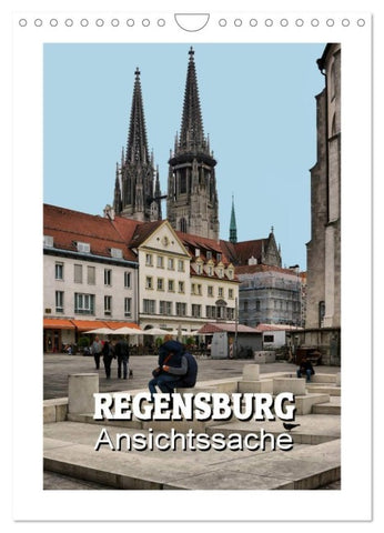 Regensburg - Ansichtssache (Wandkalender 2027 DIN A4 hoch), CALVENDO Monatskalender