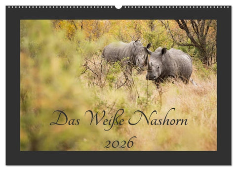 Das Weiße Nashorn (Wandkalender 2026 DIN A2 quer), CALVENDO Monatskalender