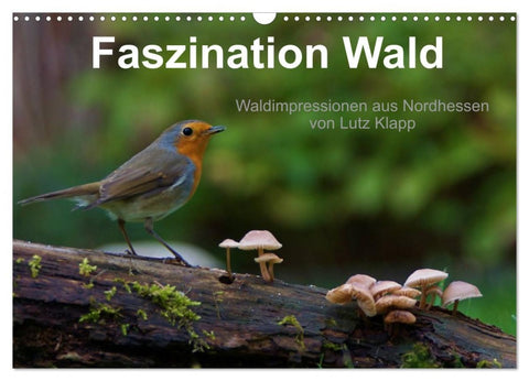Faszination Wald. Waldimpressionen aus Nordhessen von Lutz Klapp (Wandkalender 2026 DIN A3 quer), CALVENDO Monatskalender