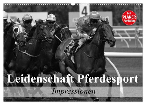 Leidenschaft Pferdesport - Impressionen (Wandkalender 2026 DIN A2 quer), CALVENDO Monatskalender