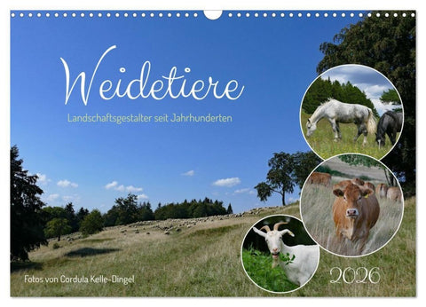Weidetiere - Landschaftsgestalter seit Jahrhunderten (Wandkalender 2026 DIN A3 quer), CALVENDO Monatskalender