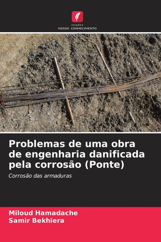 Problemas de uma obra de engenharia danificada pela corrosão (Ponte)