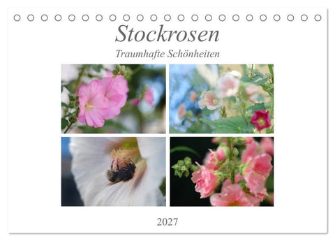 Stockrosen - Traumhafte Schönheiten (Tischkalender 2027 DIN A5 quer), CALVENDO Monatskalender