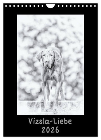 Vizsla-Liebe (Wandkalender 2026 DIN A4 hoch), CALVENDO Monatskalender