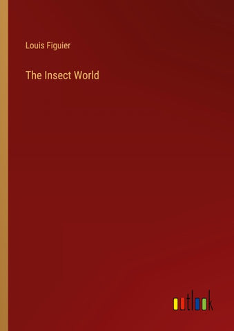The Insect World