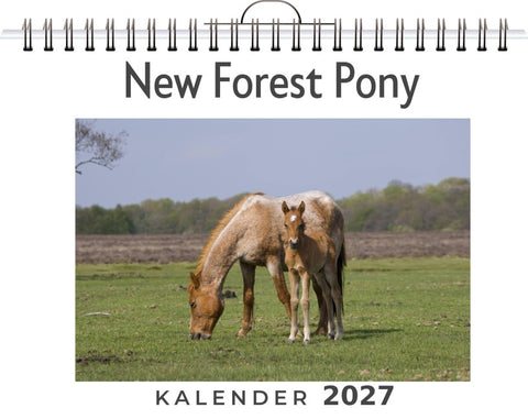 New Forest Pony