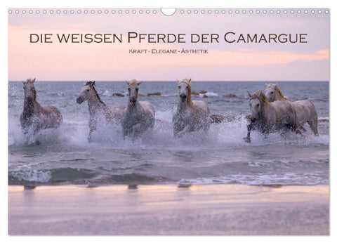 Die weißen Pferde der Camargue (Wandkalender 2027 DIN A3 quer), CALVENDO Monatskalender