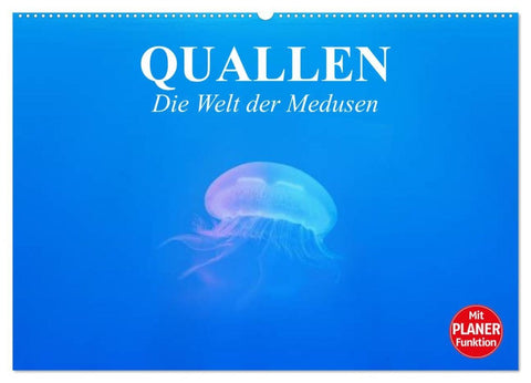 Quallen. Die Welt der Medusen (Wandkalender 2026 DIN A2 quer), CALVENDO Monatskalender