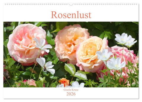 Rosenlust (Wandkalender 2026 DIN A2 quer), CALVENDO Monatskalender