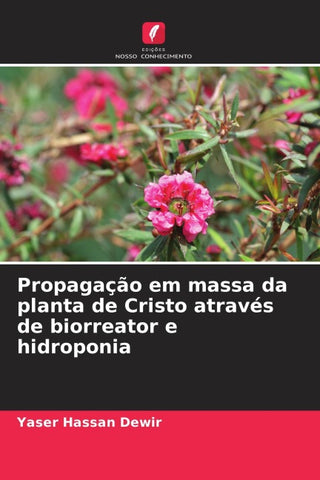 Propagação em massa da planta de Cristo através de biorreator e hidroponia