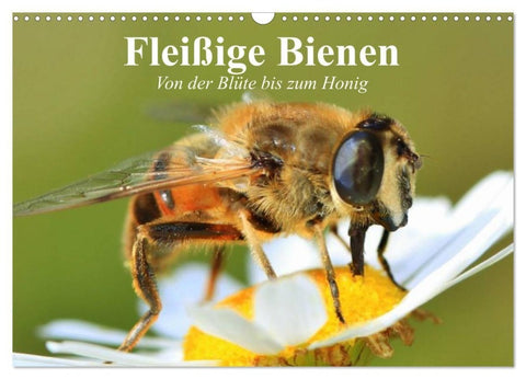 Fleißige Bienen. Von der Blüte bis zum Honig (Wandkalender 2027 DIN A3 quer), CALVENDO Monatskalender