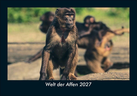 Welt der Affen 2027 Fotokalender DIN A5