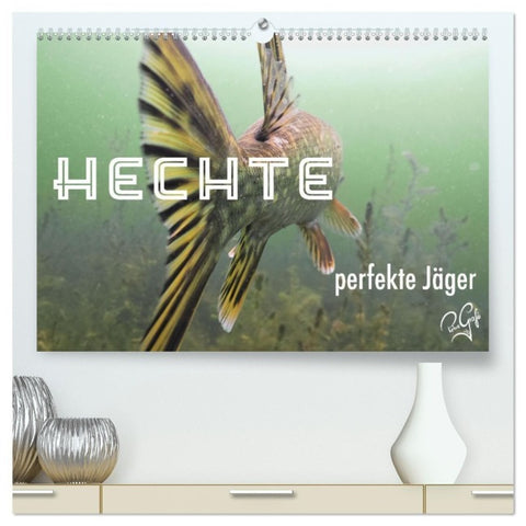 Hechte - perfekte Jäger (hochwertiger Premium Wandkalender 2027 DIN A2 quer), Kunstdruck in Hochglanz