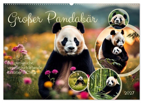 Großer Pandabär (Wandkalender 2027 DIN A2 quer), CALVENDO Monatskalender