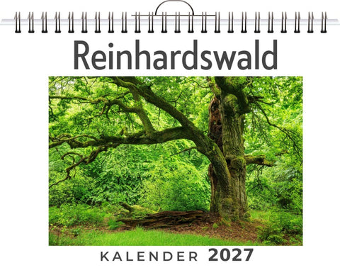 Reinhardswald