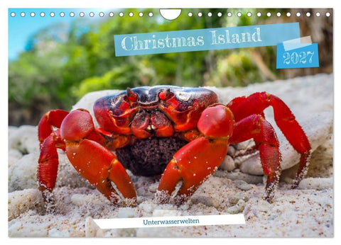 Unterwasserwelt Christmas Island (Wandkalender 2027 DIN A4 quer), CALVENDO Monatskalender