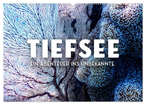 Tiefsee - Ein Abenteuer ins Unbekannte. (Wandkalender 2026 DIN A2 quer), CALVENDO Monatskalender