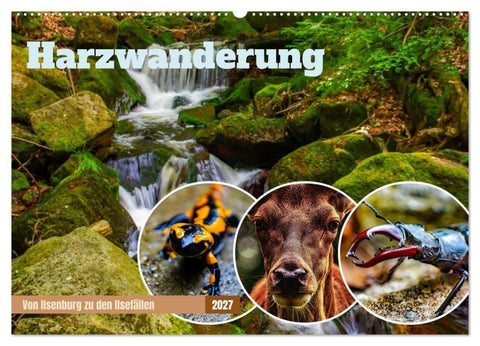 Harzwanderung - Von Ilsenburg zu den Ilsefällen (Wandkalender 2027 DIN A2 quer), CALVENDO Monatskalender