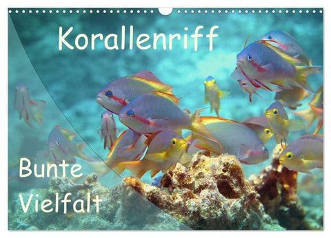 Bunte Vielfalt im Korallenriff (Wandkalender 2027 DIN A3 quer), CALVENDO Monatskalender