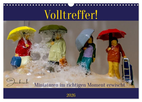 Volltreffer! (Wandkalender 2026 DIN A3 quer), CALVENDO Monatskalender
