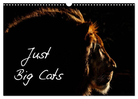 Just Big Cats (Wall Calendar 2026 DIN A3 landscape), CALVENDO 12 Month Wall Calendar