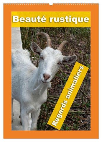 Beauté rustique Regards animaliers (Calendrier mural 2027 DIN A2 horizontal), CALVENDO calendrier mensuel
