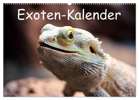 Exoten-Kalender (Wandkalender 2026 DIN A2 quer), CALVENDO Monatskalender