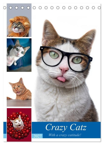 Crazy Catz. (Tischkalender 2027 DIN A5 hoch), CALVENDO Monatskalender