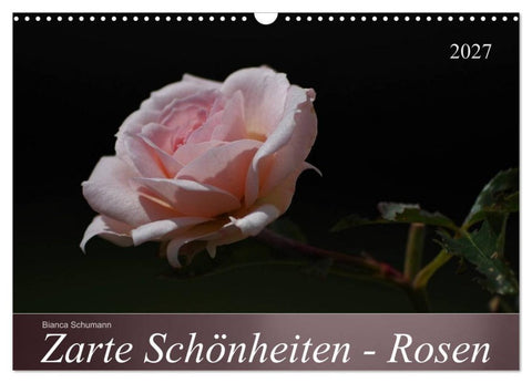 Zarte Schönheiten - Rosen (Wandkalender 2027 DIN A3 quer), CALVENDO Monatskalender