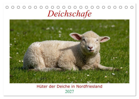 Deichschafe - Hüter der Deiche in Nordfriesland (Tischkalender 2027 DIN A5 quer), CALVENDO Monatskalender