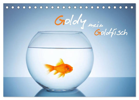 Goldy - mein Goldfisch (Tischkalender 2026 DIN A5 quer), CALVENDO Monatskalender