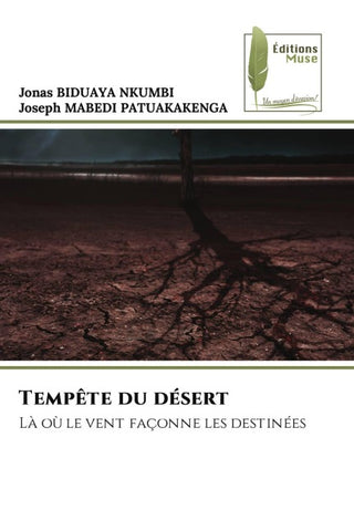 Tempête du désert