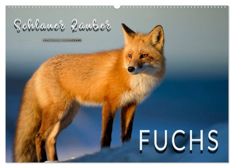 Fuchs - schlauer Räuber (Wandkalender 2027 DIN A2 quer), CALVENDO Monatskalender