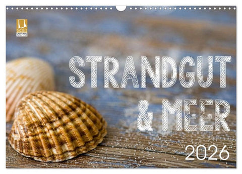 Strandgut und Meer 2026 (Wandkalender 2026 DIN A3 quer), CALVENDO Monatskalender