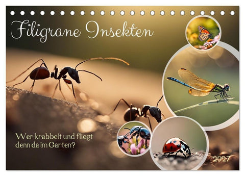 Filigrane Insekten (Tischkalender 2027 DIN A5 quer), CALVENDO Monatskalender
