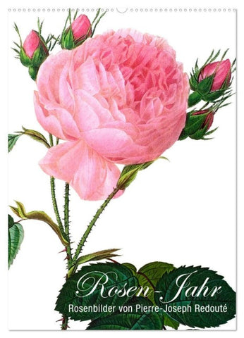 Rosen-Jahr (Wandkalender 2027 DIN A2 hoch), CALVENDO Monatskalender