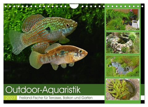 Outdoor-Aquaristik (Wandkalender 2027 DIN A4 quer), CALVENDO Monatskalender
