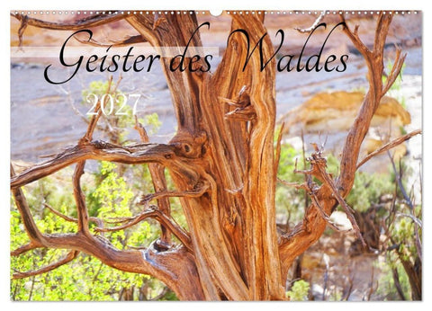 Geisterbäume (Wandkalender 2027 DIN A2 quer), CALVENDO Monatskalender