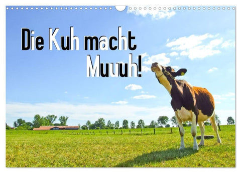 Die Kuh macht Muuuh! (Wandkalender 2027 DIN A3 quer), CALVENDO Monatskalender
