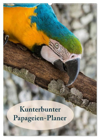 Kunterbunter Papageien-Planer (Wandkalender 2027 DIN A2 hoch), CALVENDO Monatskalender