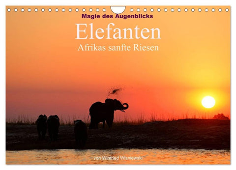 Magie des Augenblicks - Elefanten - Afrikas sanfte Riesen (Wandkalender 2026 DIN A4 quer), CALVENDO Monatskalender