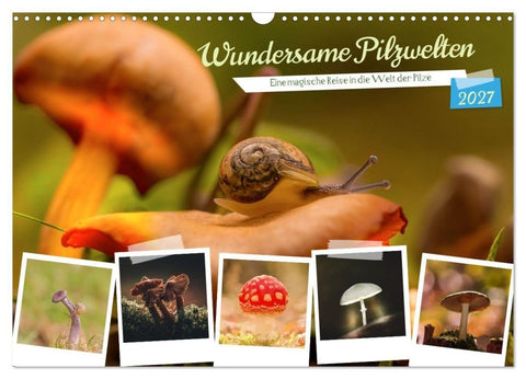 Wundersame Pilzwelten (Wandkalender 2027 DIN A3 quer), CALVENDO Monatskalender