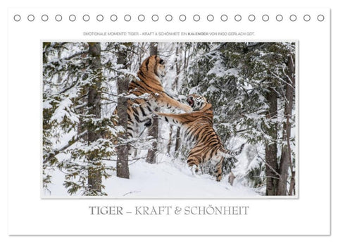 Emotionale Momente: Tiger - Kraft & Schönheit. / CH-Version (Tischkalender 2026 DIN A5 quer), CALVENDO Monatskalender