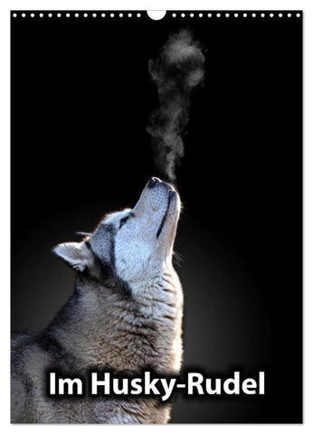 Im Husky-Rudel (Wandkalender 2027 DIN A3 hoch), CALVENDO Monatskalender