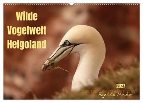 Wilde Vogelwelt Helgoland (Wandkalender 2027 DIN A2 quer), CALVENDO Monatskalender