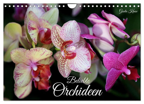 Beliebte Orchideen (Wandkalender 2026 DIN A4 quer), CALVENDO Monatskalender