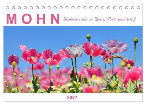 Mohn, Blütenzauber in Rosa, Pink und Weiß (Tischkalender 2027 DIN A5 quer), CALVENDO Monatskalender
