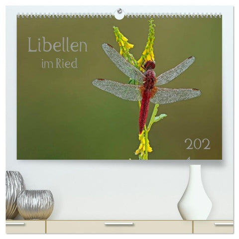 Libellen im Ried (hochwertiger Premium Wandkalender 2026 DIN A2 quer), Kunstdruck in Hochglanz