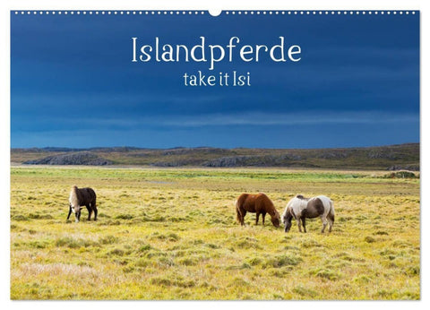 Islandpferde take it Isi (Wandkalender 2027 DIN A2 quer), CALVENDO Monatskalender